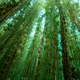Image for article titled A year’s worth of surprising and poignant nature photos